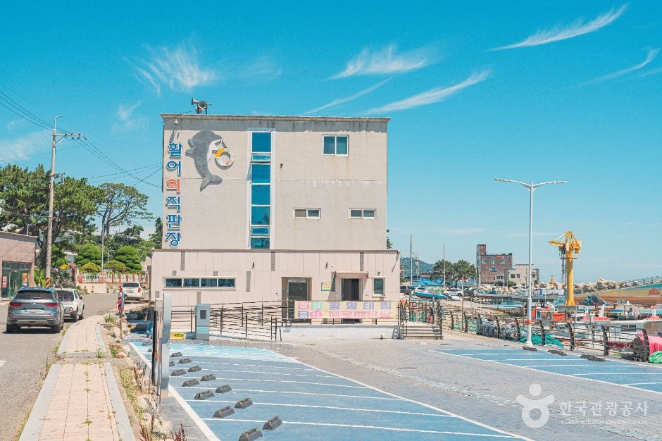 울산_주전항 (1)