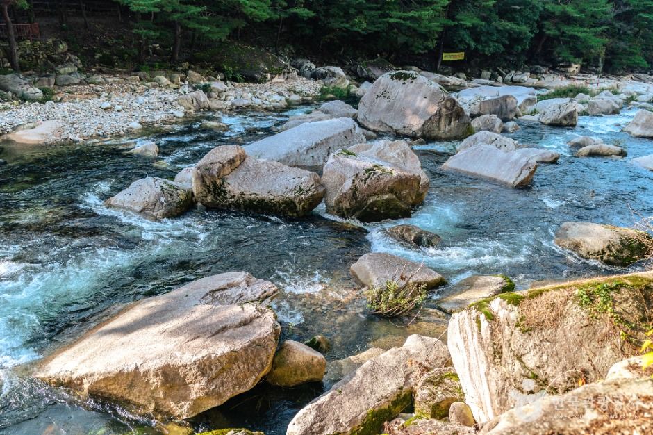 thumbnail-중선암-6