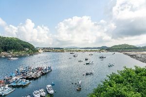 보령_오천항 (5)