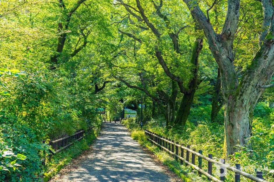 공주_공주 갑사 철당간 (4)