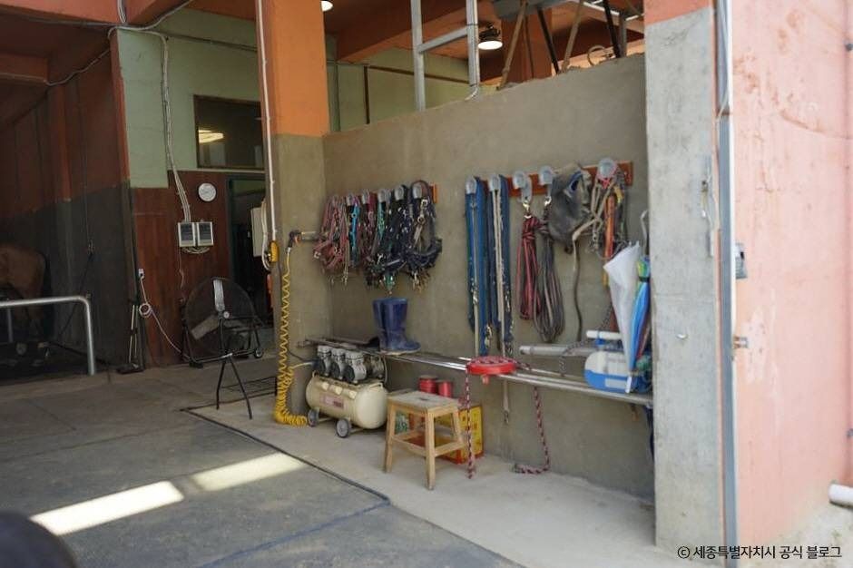 세종_세종스테이블 (7)