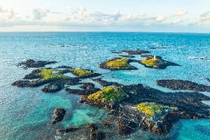 제주_다려도 (6)