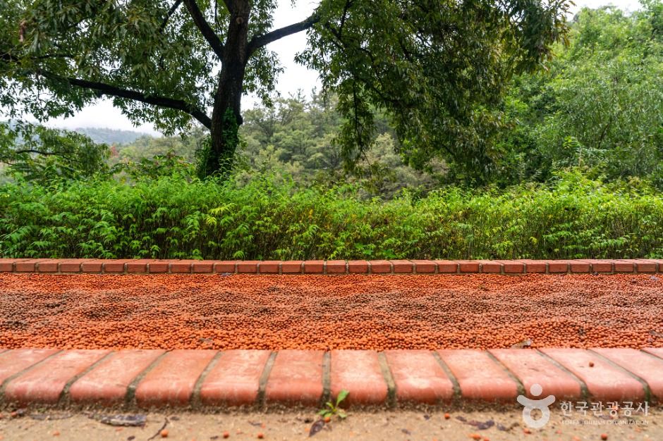 [대구올레 팔공산 6코스] 단산지 가는 길