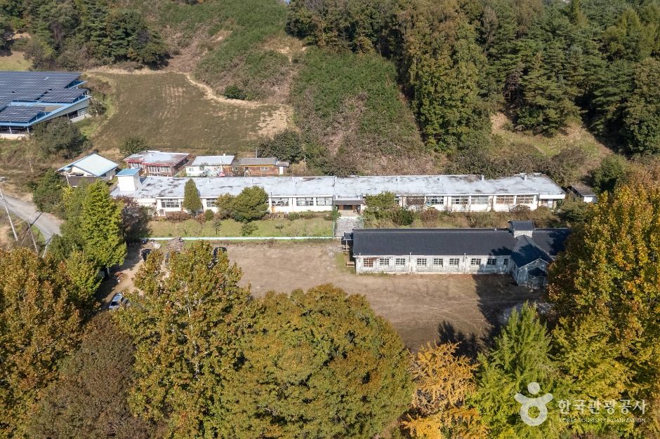 제천_공전자연학교 (3)