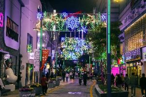 2025 광복로 겨울빛 트리축제 4