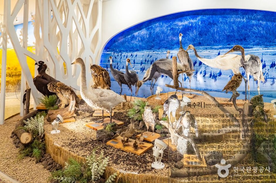 철원관광정보센터