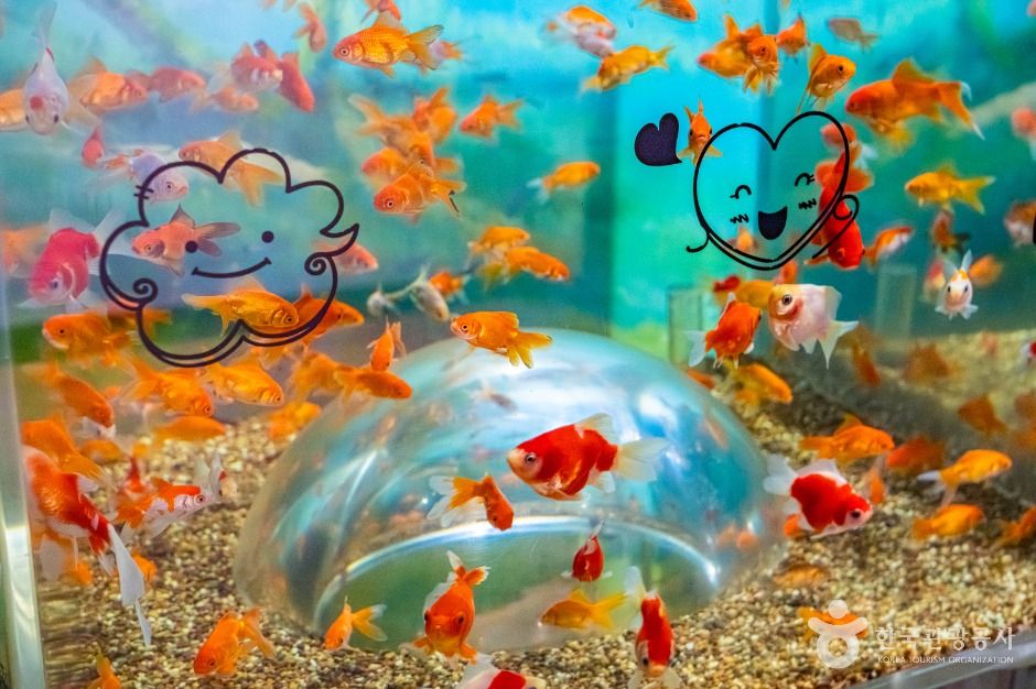 울진_민물고기생태체험관 (5)