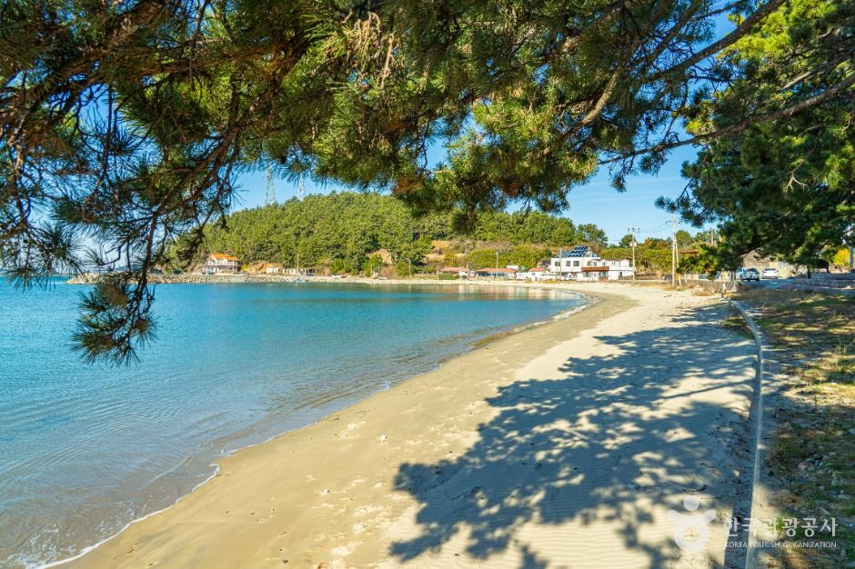 완도_지리청송해변 (2)