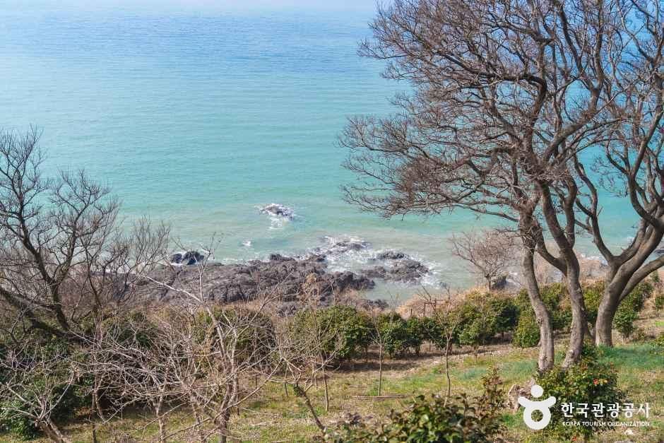 thumbnail-백수해안도로-20