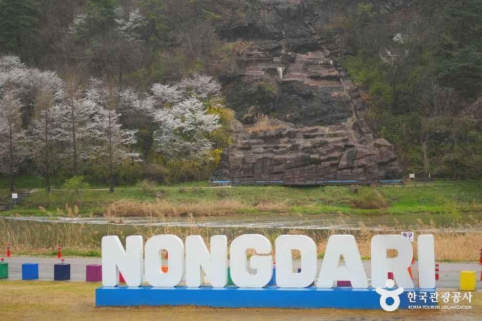 thumbnail-진천 농다리-7