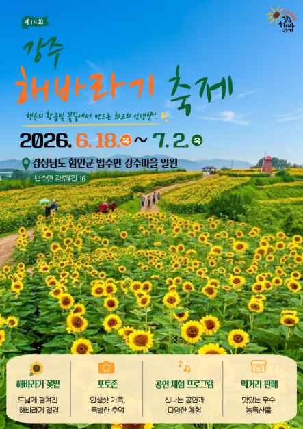 thumbnail-강주해바라기 축제-3