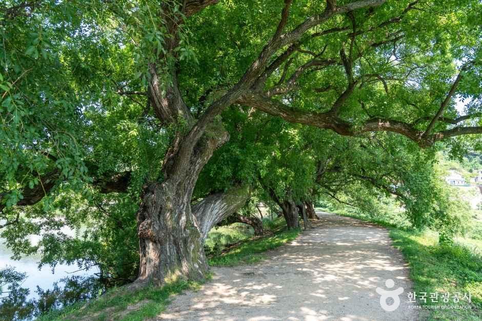 thumbnail-반곡지-7