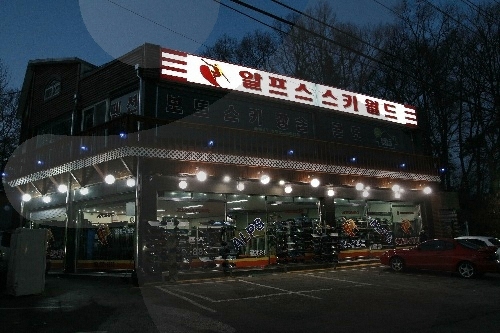 알프스스키월드6