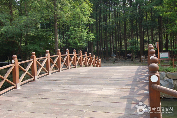 장태산자연휴양림 사진7