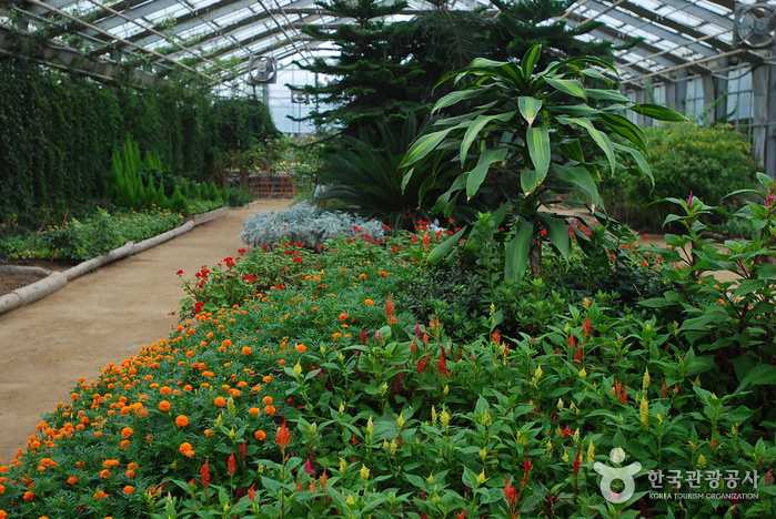 세계꽃식물원