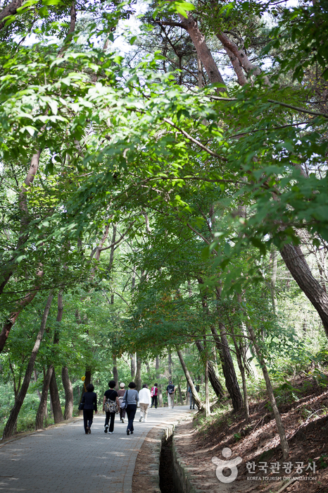 Busosanseong Fortress of Buyeo (부여 부소산성)