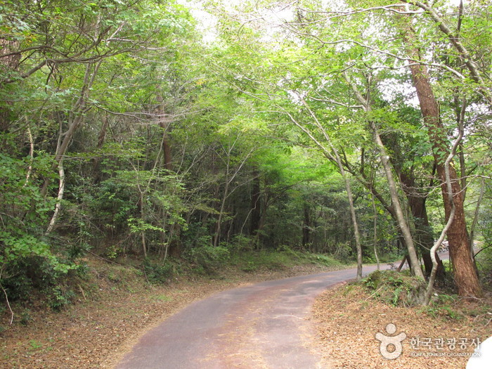Forêt récréative de Seogwipo (서귀포자연휴양림)