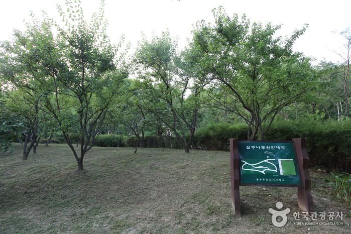 Botanischer Garten Namsan (남산 야외식물원)