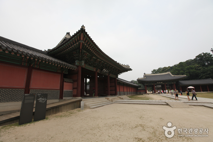 Changdeokgung Injeongmun Gate (창덕궁 인정문)8