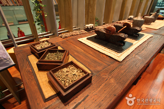 Seoul Yangnyeongsi Herb Medicine Museum (서울약령시 한의약박물관)