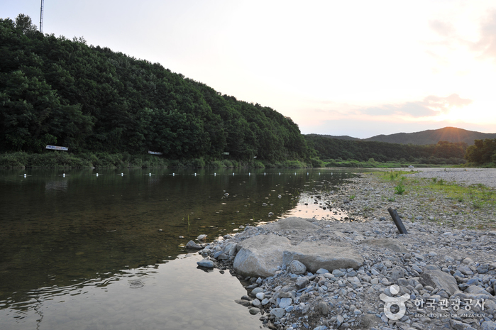 대진교강변 마을관리휴양지4