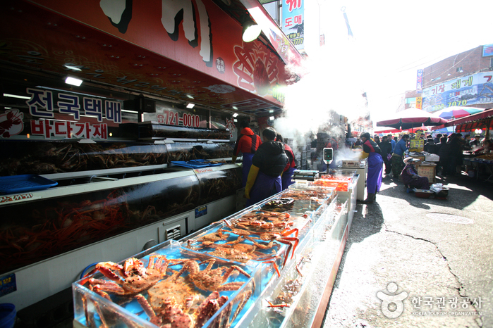 Marché de Gijang sijang (부산 기장시장)