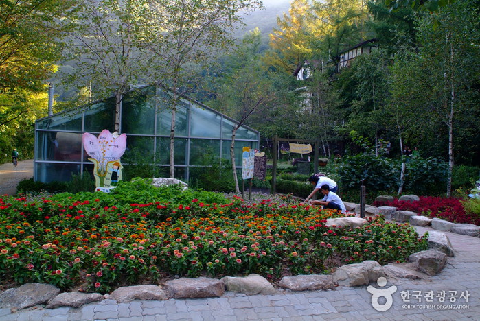 Herbnara Farm (허브나라농원)