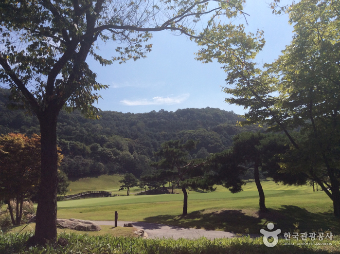 블루버드컨트리클럽2