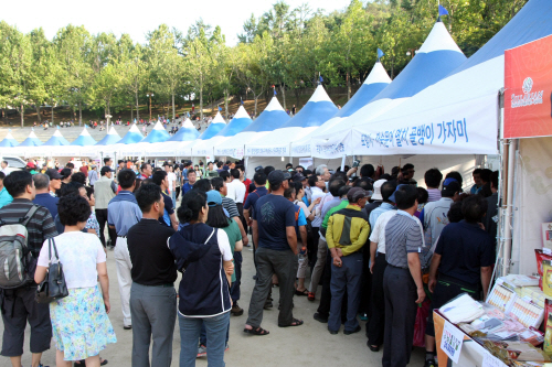 내고장 사랑 대축제 2017 사진1
