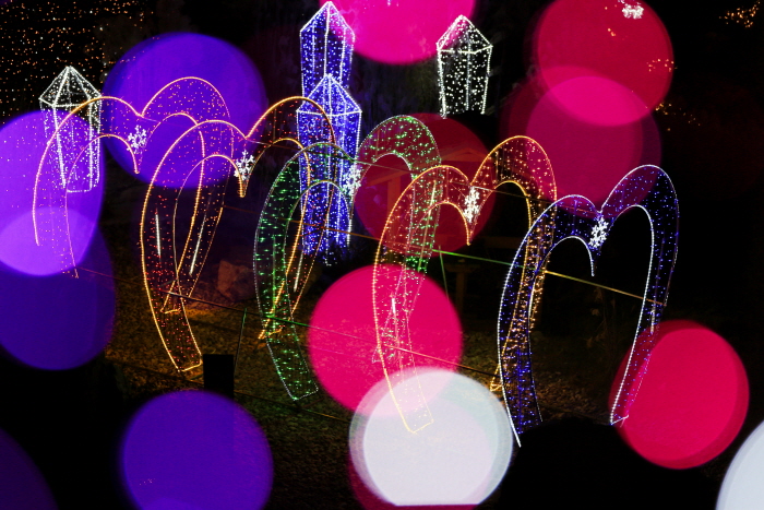 별빛따라 두메향기4