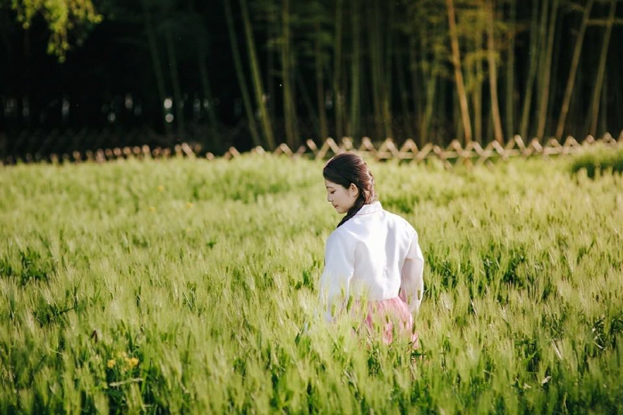 한복입은 봄 페스티벌 20193