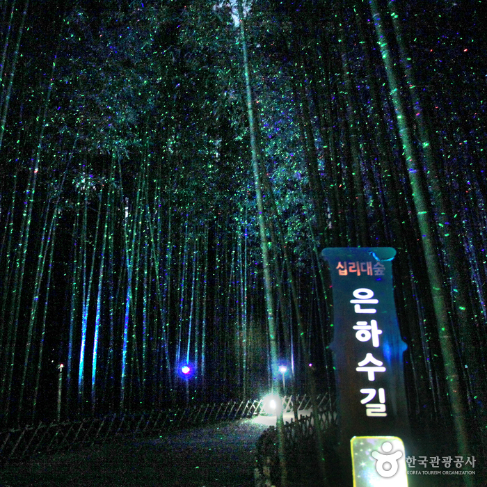 太和江国家庭園 十里竹林（天の川の道）（태화강 국가정원 십리대숲 (은하수길)）0