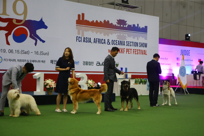 코리아 프리미어 도그쇼 20192