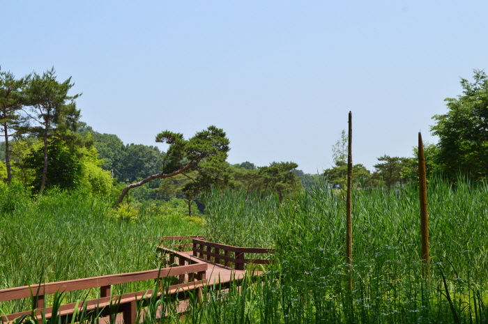 Парк культуры Сикчансан (Смотровая площадка восхода солнца) (식장산 문화공원(해돋이전망대))