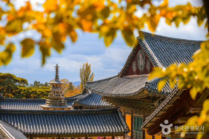 Templo Bulguksa en Gyeongju (경주 불국사) [Patrimonio Cultural de la Humanidad de la Unesco]6