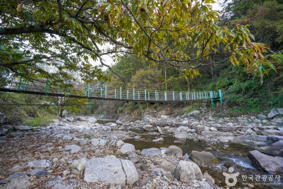 Yecheon Suspension Bridge Village (예천 출렁다리마을)