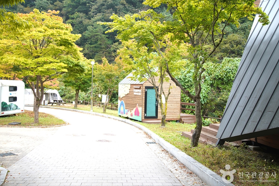 Chiaksan Guryong Auto Campground (치악산 구룡자동차야영장)