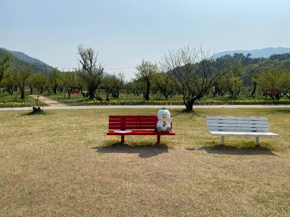 용당나루 매화공원