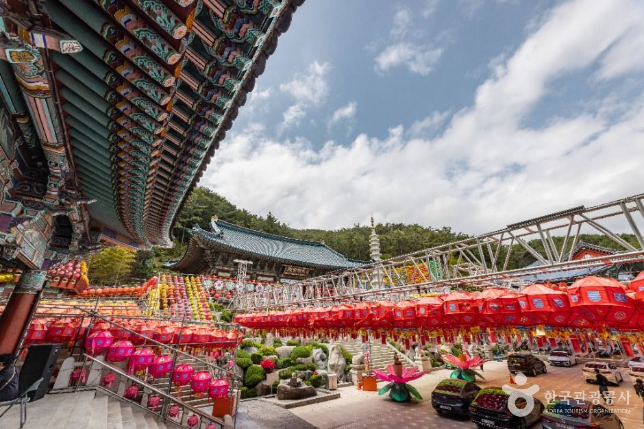 삼광사