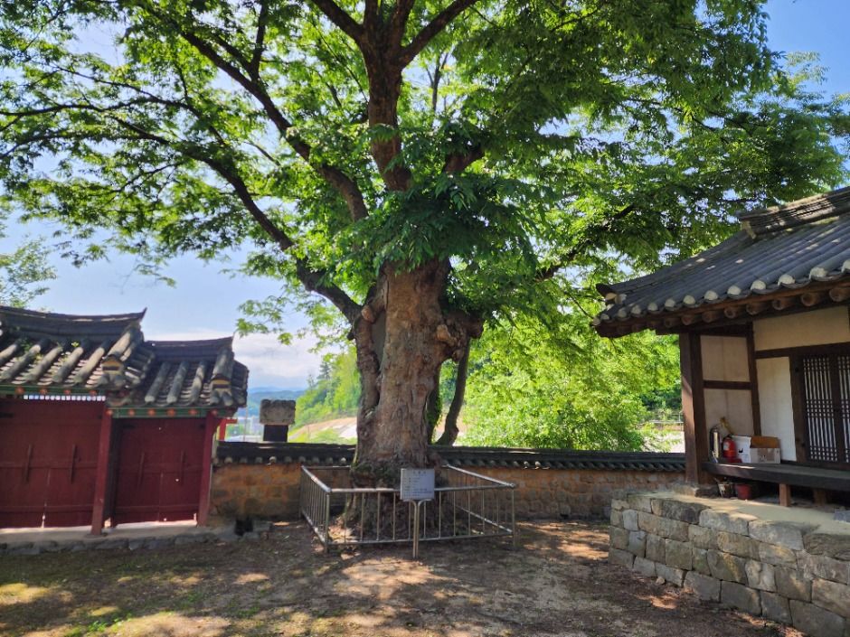 thumbnail-파주향교-13