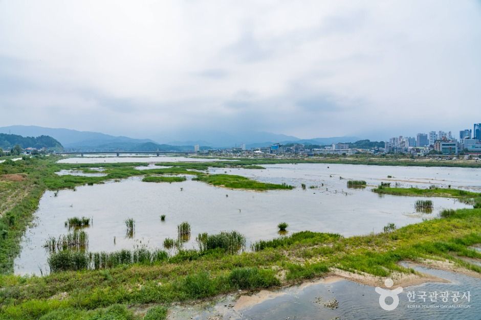 남대천(양양)