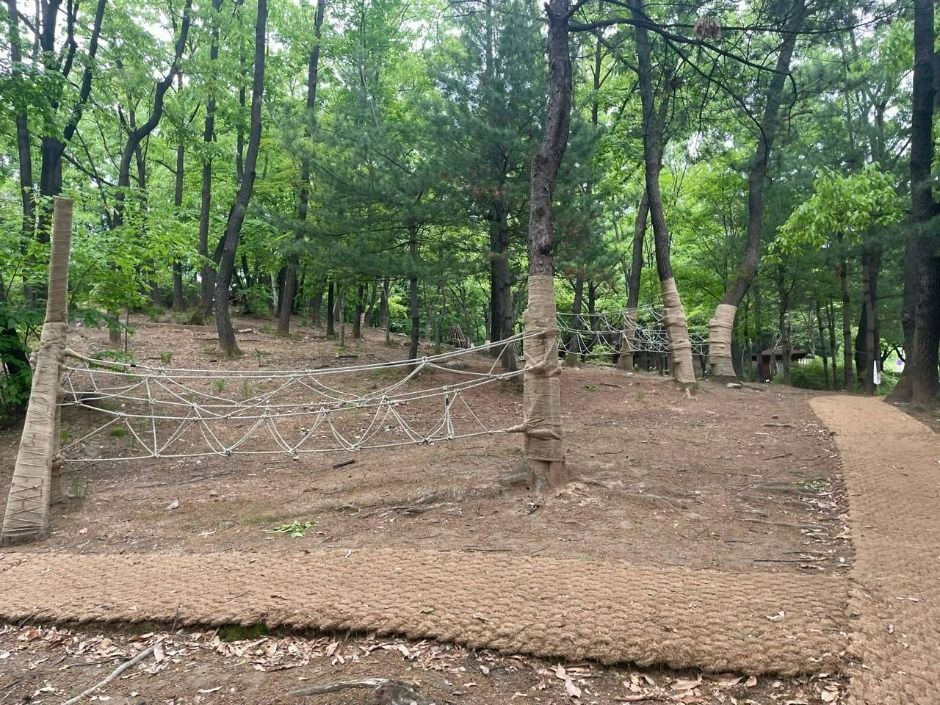 오목문화 유아숲체험원