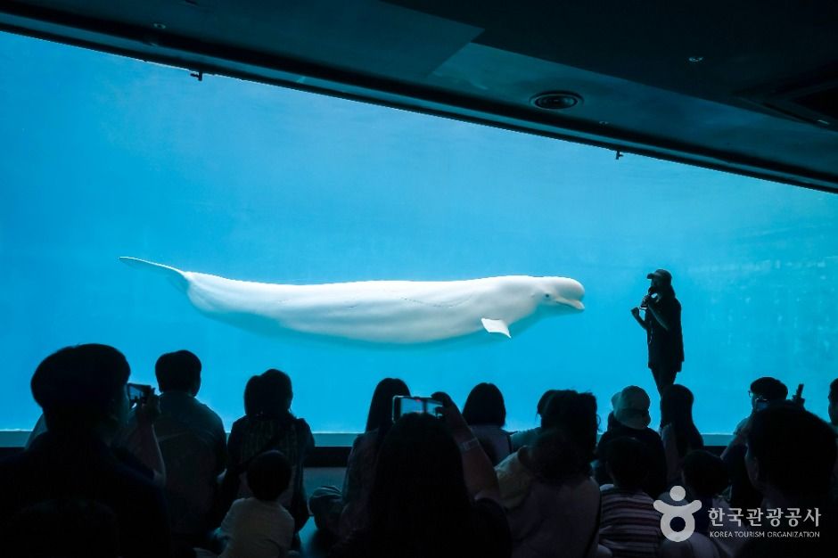 거제_거제씨월드 (7)