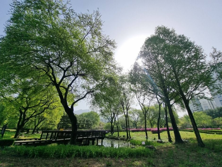서울_[서울둘레길 1코스] 수락산 (5)