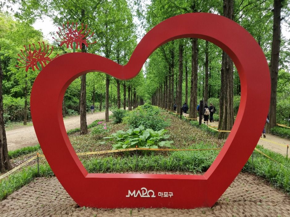 [서울둘레길 15코스] 노을·하늘공원코스