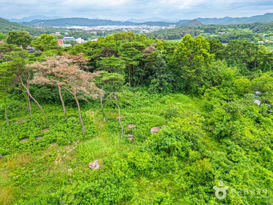 삼거동 고인돌