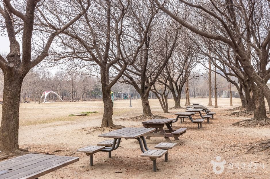 서울숲