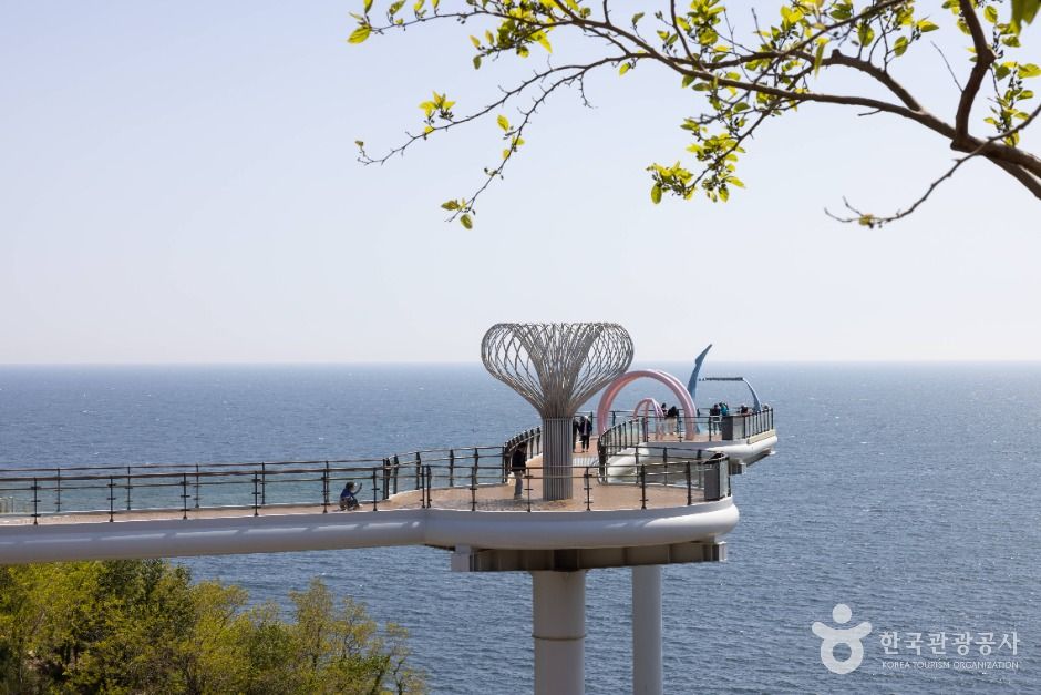 도째비골스카이밸리