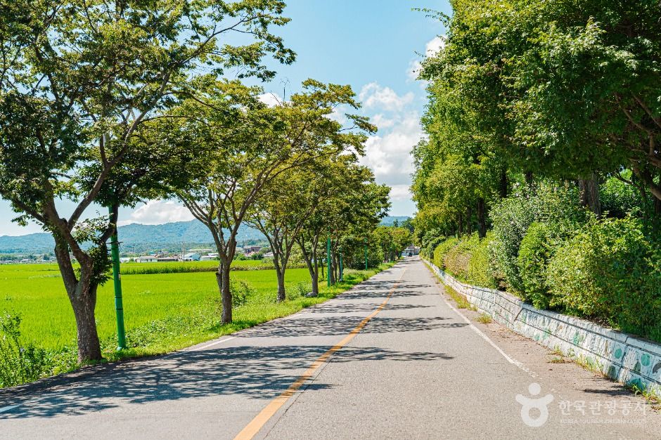 무안 하늘백련마을