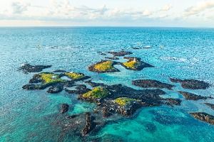 제주_다려도 (7)